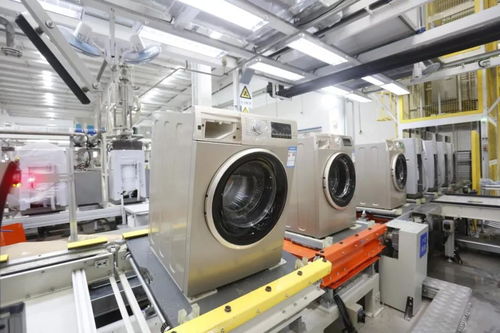 中國洗衣機行業新王者 本土品牌憑互聯網銷售逆襲，占據四成市場份額